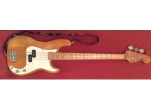 Fender Precision Bass (1976) (49763)
