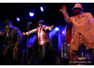 George Clinton MP496 (c) ModernPics.JPG