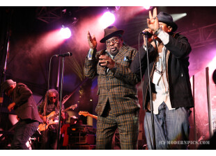 George Clinton MP503 (c) ModernPics.JPG