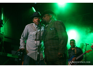 George Clinton MP504 (c) ModernPics.JPG