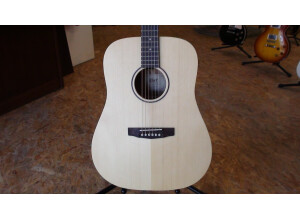 Cort Earth-Grand - Open Pore