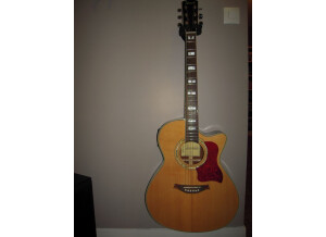 Tennessee Guitars T-714ce