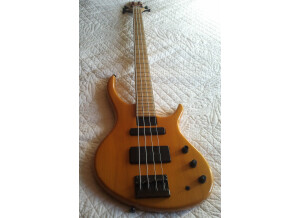 Tobias Renegade (17812)