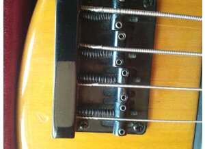 Tobias Renegade (66684)