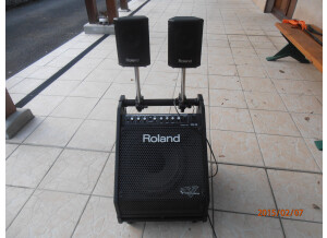 Roland PM-30 (41027)