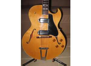 Gibson ES-175 DN