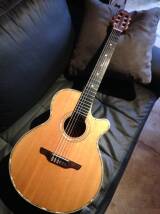 Takamine EN68C