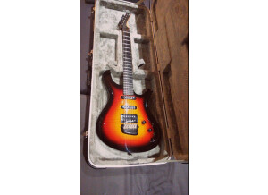 Parker Guitars DF724