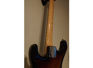 Warmoth Stratocaster (6542)