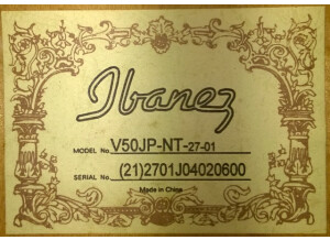 Ibanez V50 - Natural