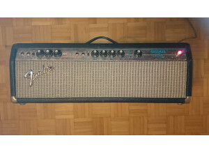 Fender Bassman 100 (Silverface) (48283)