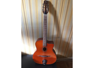 Nash Acoustic Guitar NH-60 (61073)