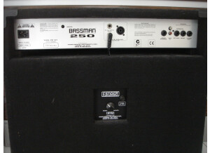 Fender Bassman 250 Combo 2x10 (36010)