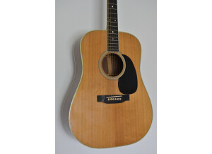 Martin & Co D-35 (95213)