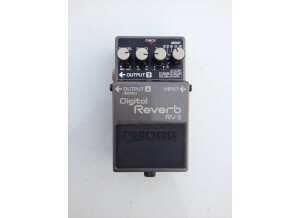 Boss RV-2 Digital Reverb (44017)