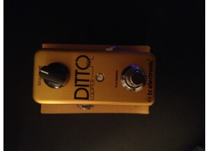 TC Electronic Ditto Looper Gold (23073)
