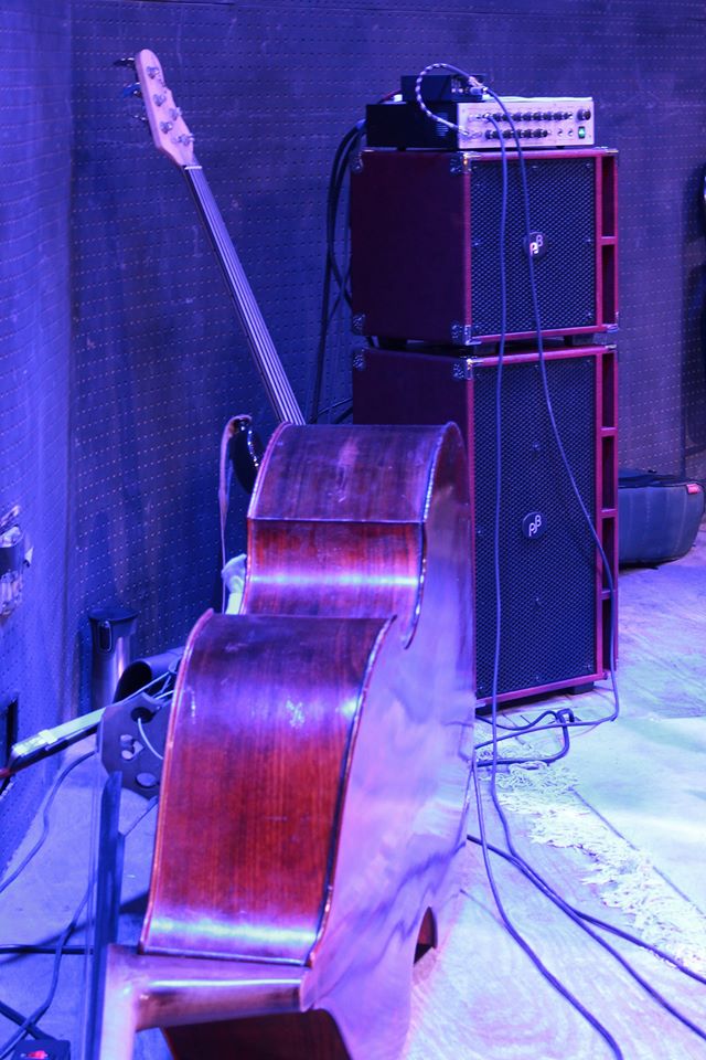 Phil Jones Bass D-600