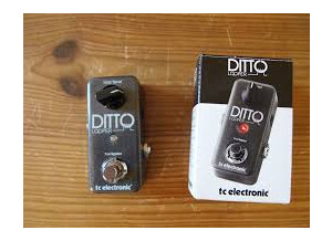 TC Electronic Ditto Looper (68976)