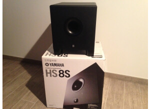Yamaha HS8S (48663)
