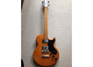 Gibson L6-S (1974) (72466)