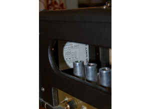 Fargen Amps Mighty Plex MKII (62321)