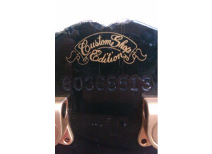 Gibson Les Paul Studio Custom (60619)