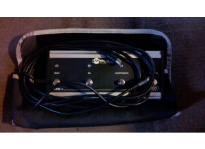 Mesa Boogie M-Pulse 600 (32904)