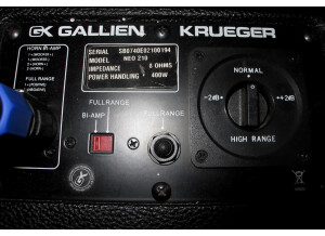 Gallien Krueger Neo 115