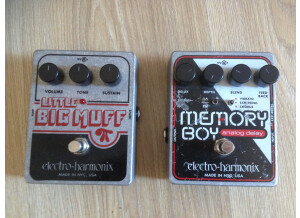 Electro-Harmonix Memory Boy (5398)