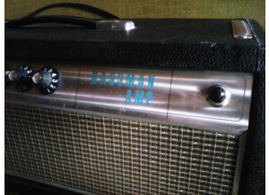 Fender Bassman 50 (Silverface) (6798)