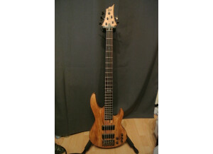 LTD B-205SM - Natural Satin (16078)