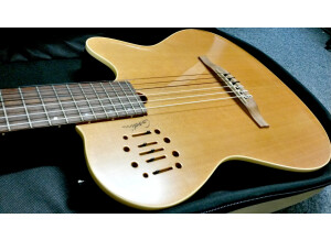 Godin Encore Nylon (93318)