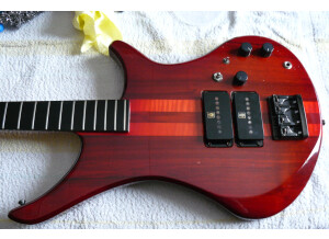 Vigier Passion série 1