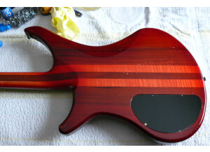 Vigier Passion série 1