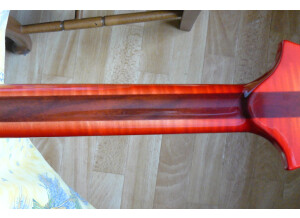 Vigier Passion série 1