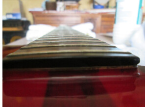 Vigier Passion série 1