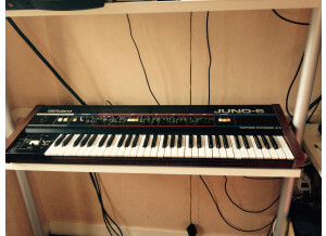 Roland JUNO-6 (97217)