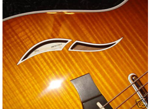 Taylor T5 maple flame