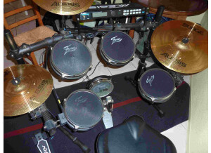 Alesis DM5 Pro Kit Surge Cymbals (67676)