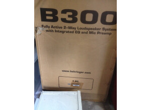 Behringer B300