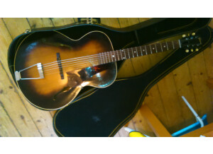 Gibson L-48 (44560)