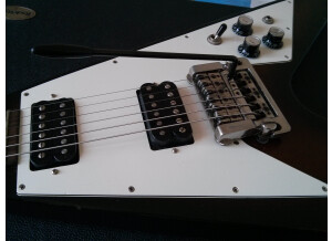 Gibson Flying V Limited Edition (1998) (25710)