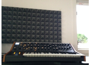 Moog Music SUB 37 Tribute