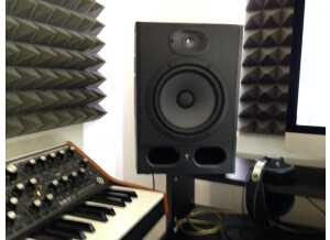 Moog Music SUB 37 Tribute