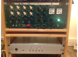 Thermionic Culture The Fat Bustard II (4443)