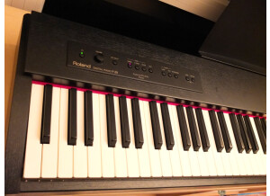Roland F-20-CB