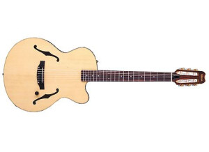 Yamaha AEX500 - Natural
