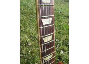 Gibson 1956 Les Paul Goldtop VOS - Antique Gold (19473)