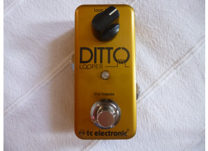 TC Electronic Ditto Looper Gold (32217)