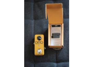 TC Electronic Ditto Looper Gold (30897)